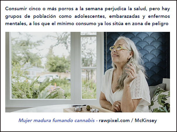 El Cannabis, su consumo no es inocuo