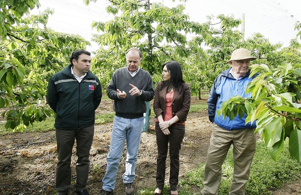 Gobierno y Agricultores en alianza para combatir lobesia botrana