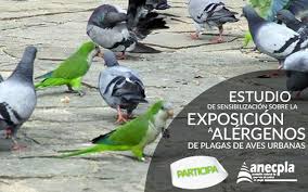 Plagas