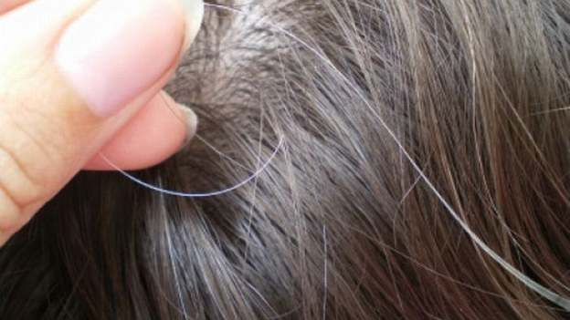 La ciencia responde: &iquest;Arrancarse una cana hace que crezcan m&aacute;s?