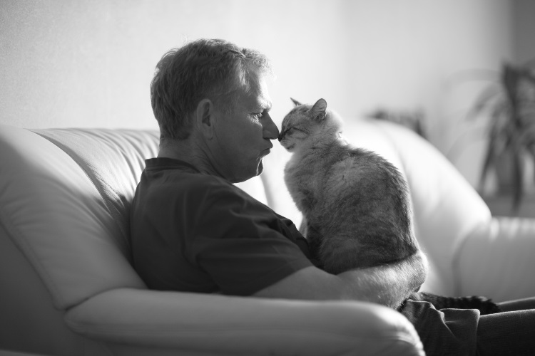 &iquest;Qu&eacute; ocurrir&iacute;a con tu mascota si algo te sucediera a ti?