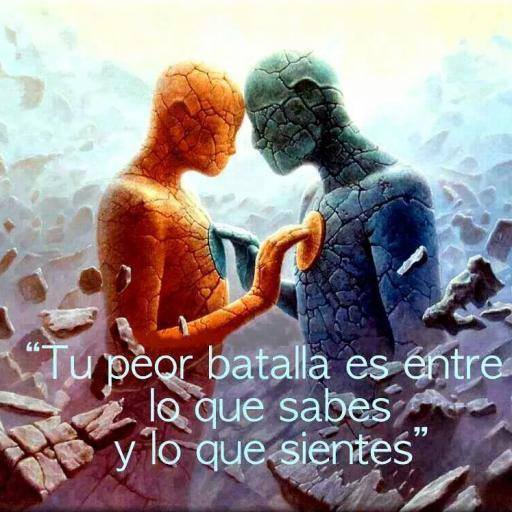 MEDITEMOS: 
