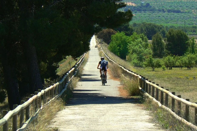 Europa podr&aacute; ser recorrida en bici gracias a una red de ciclov&iacute;as que conectar&aacute; 43 pa&iacute;ses