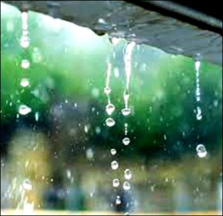  Tankas encadenados de cuando me da por llover (de Carlos Perrotti)