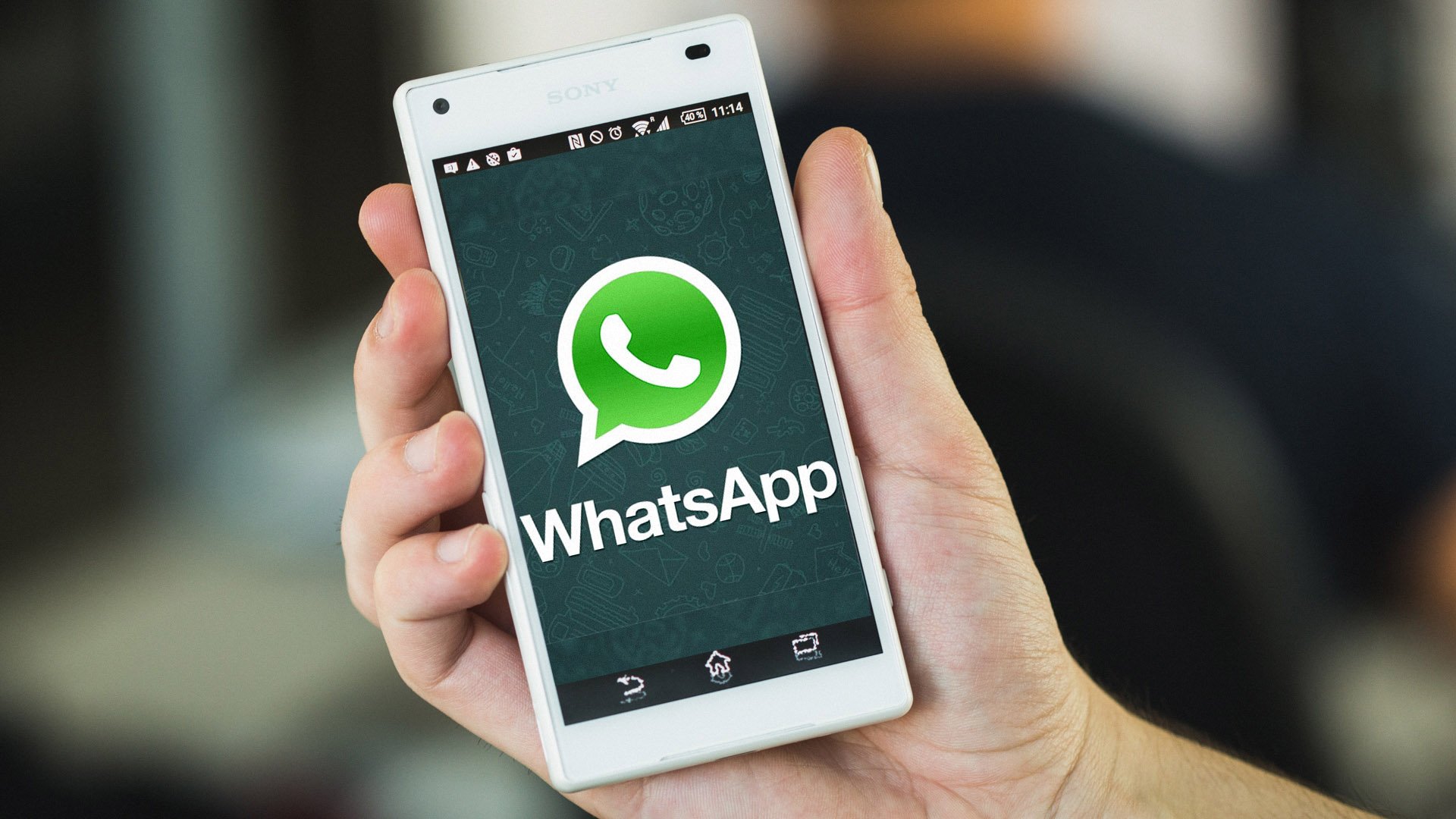 WhatsApp tiene nueva actualizaci&oacute;n con muchas novedades