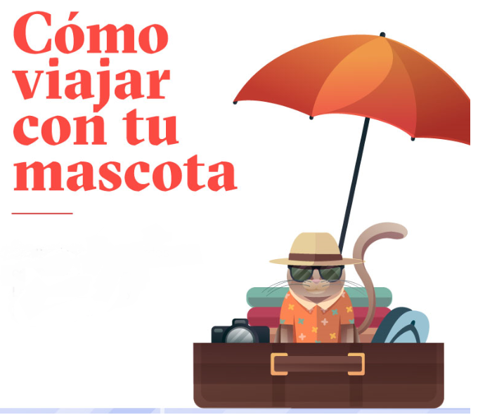 &iquest;C&oacute;mo viajar con tu mascota?