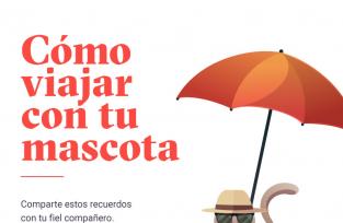 &iquest;C&oacute;mo viajar con tu mascota?