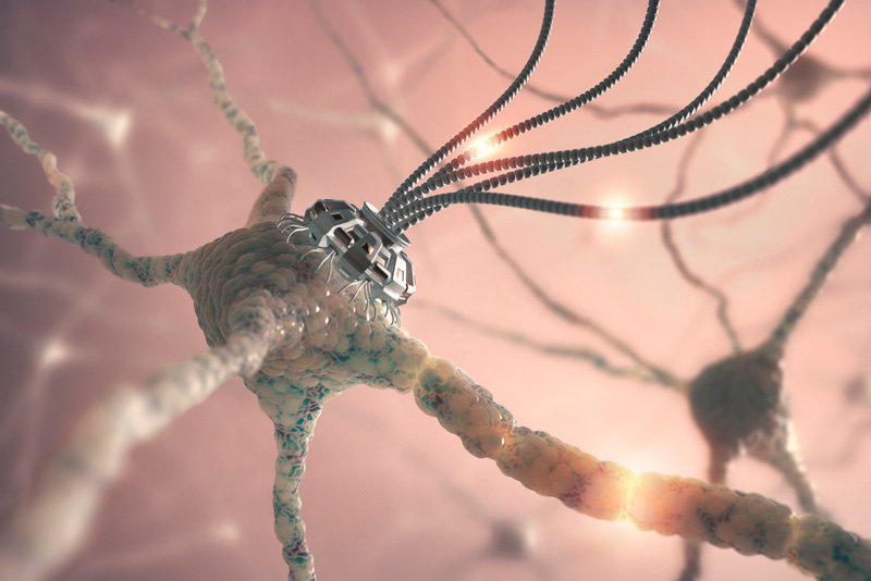 Cada vez m&aacute;s cerca de la inteligencia rob&oacute;tica: crean las primeras neuronas artificiales:
