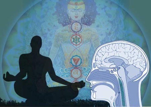 Estudio de Harvard demuestra lo que le ocurre al cerebro en la meditaci&oacute;n
