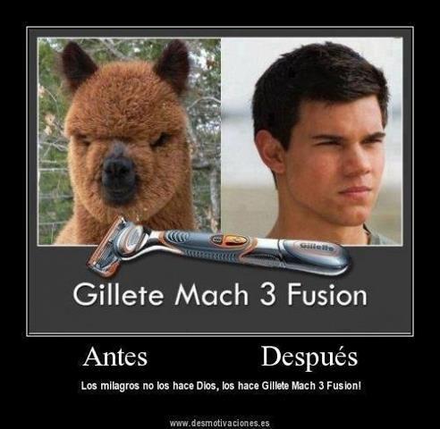 lo que se puede encontrar uno...