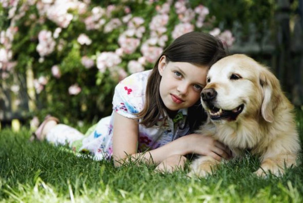 6 formas en que las mascotas benefician tu salud