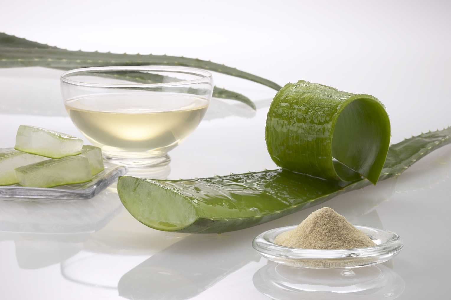 8 Beneficios de la s&aacute;bila 