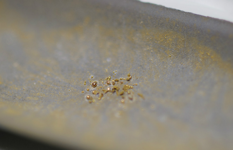 Una bacteria logra crear oro de 24 quilates