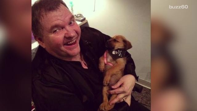 Meatloaf would do anything for the love of a puppy