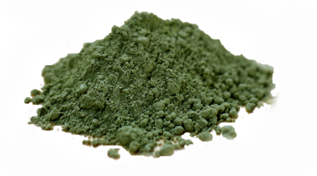 Descubre porqu&eacute; los Mayas consum&iacute;an espirulina todos los d&iacute;as