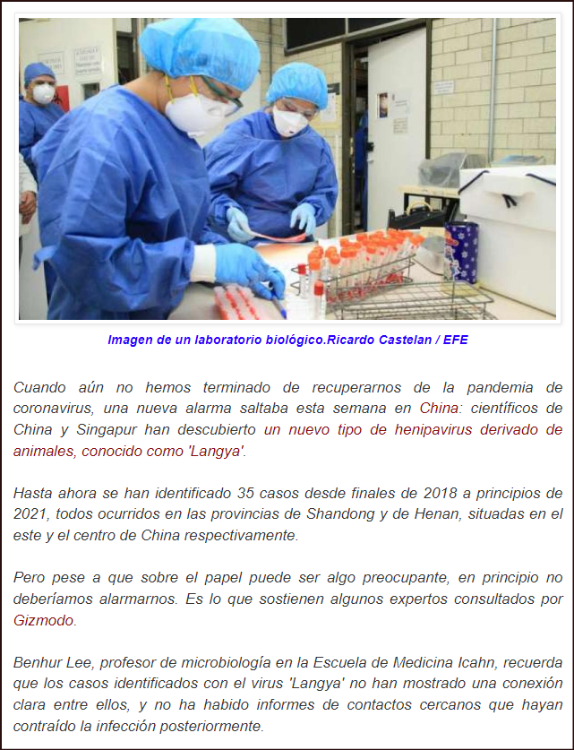 No deber&iacute;amos alarmarnos por el nuevo virus chino "Langya'". Aqu&iacute; el porqu&eacute;