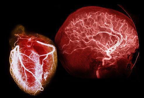 La conexi&oacute;n mente-coraz&oacute;n en las visiones m&iacute;sticas de las experiencias cercanas a la muerte