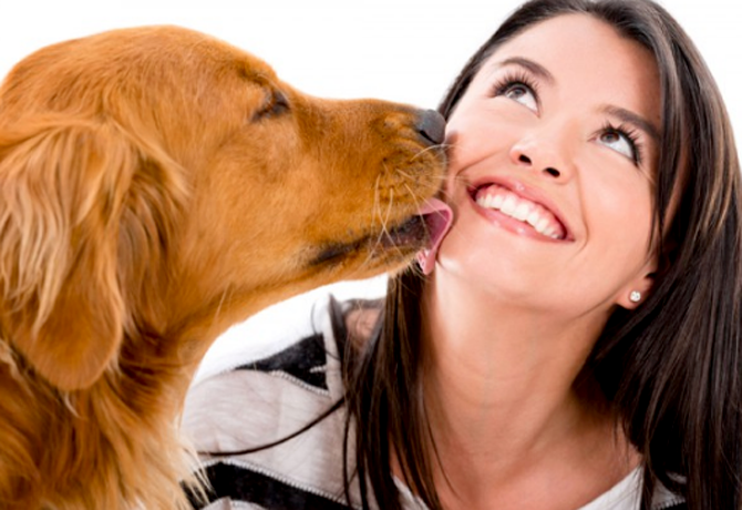Descubre los diez alimentos m&aacute;s t&oacute;xicos para los perros