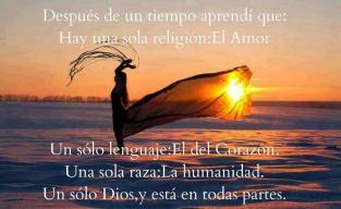 Soy seres de luz con la luz apagada capitulos