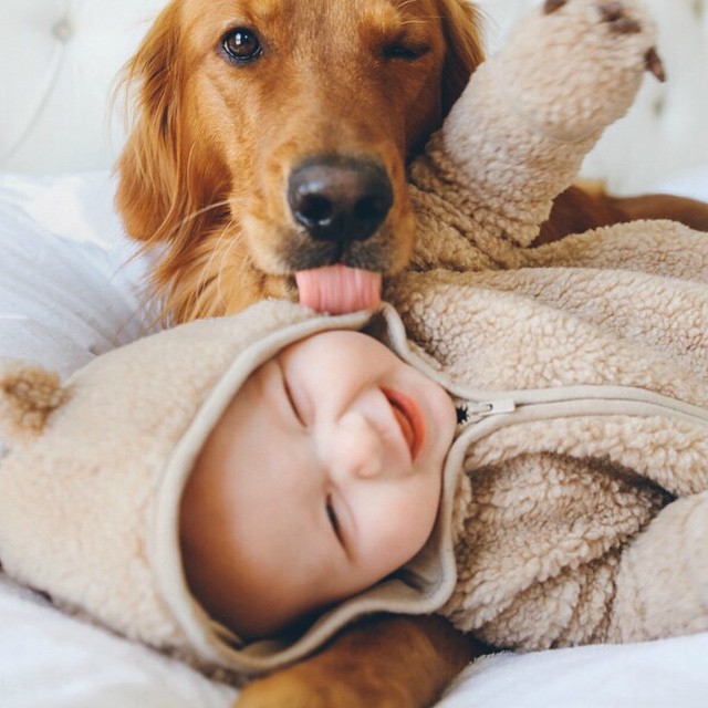 &iquest;Por qu&eacute; a veces tu perro te lame? Descubre el verdadero significado