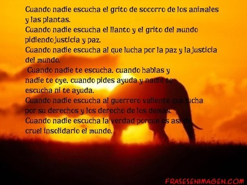 Ya no puedo m&aacute;s cierro todos los blog