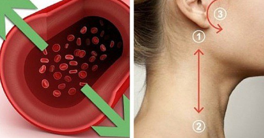 M&eacute;todo natural para bajar la presi&oacute;n arterial en 5 minutos sin medicamentos