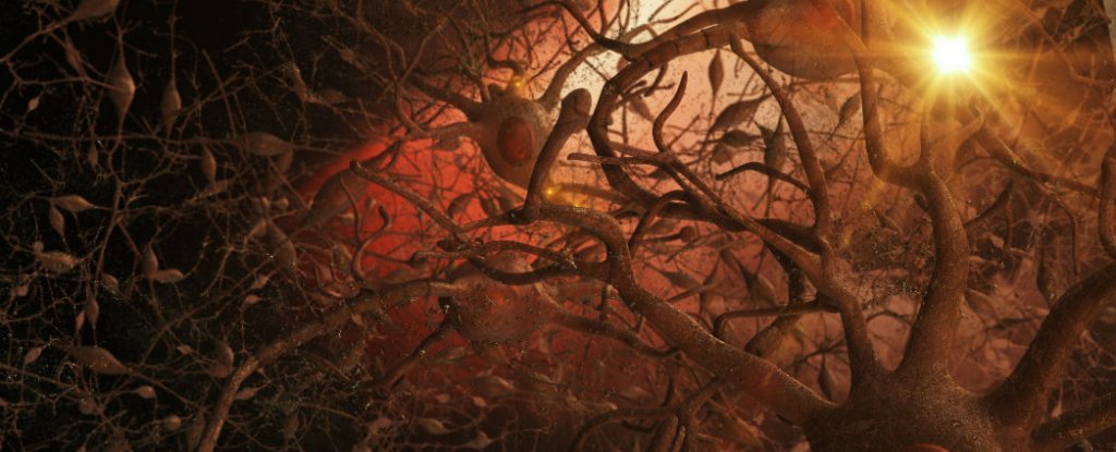 New Alzheimer   s treatment fully restores memory function