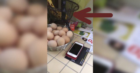 &iquest;Qu&eacute; har&iacute;as si te encuentras esto en tu cocina comi&eacute;ndose tu desayuno?