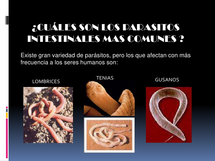 S&iacute;ntomas en el organismo humano por par&aacute;sitos, y cura natural  efectiva 