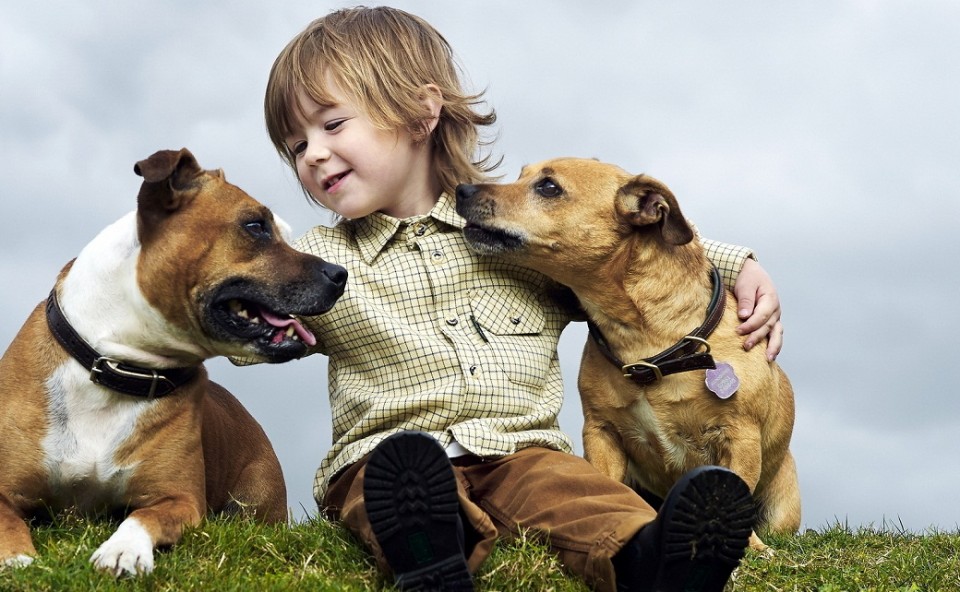 Secretos sobre tu mascota que tu veterinario nunca te dir&aacute;