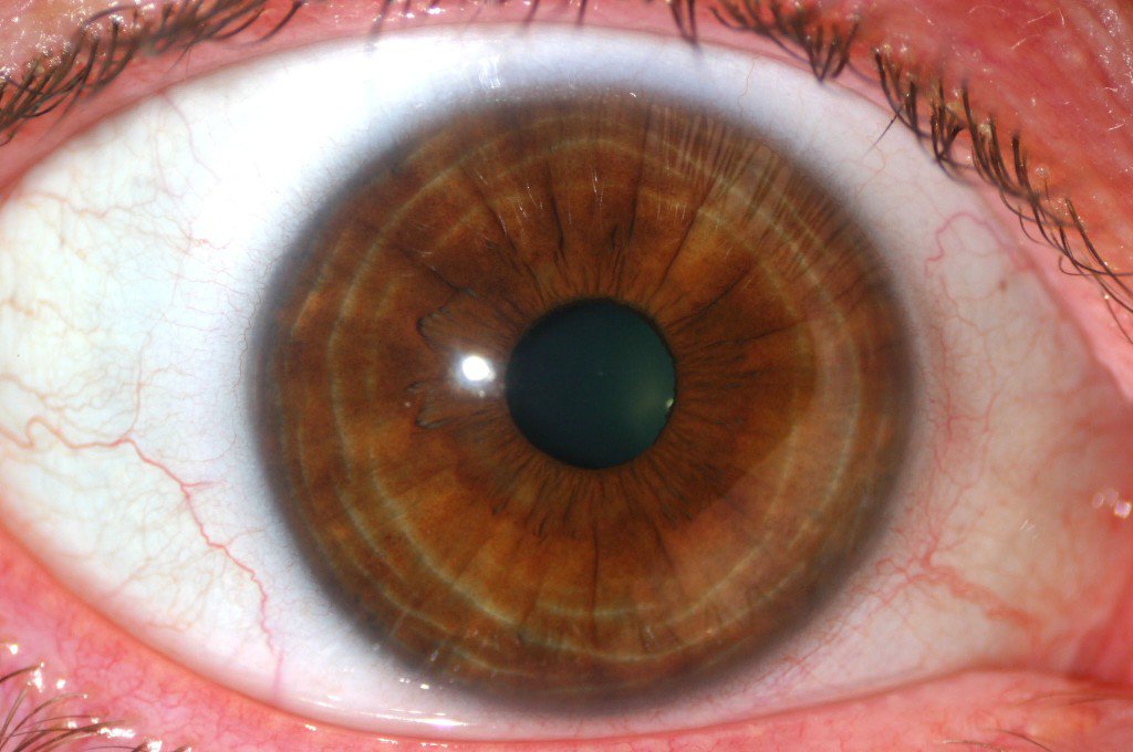 Las mujeres prefieren a los hombres de ojos caf&eacute;s, pero no es por el color