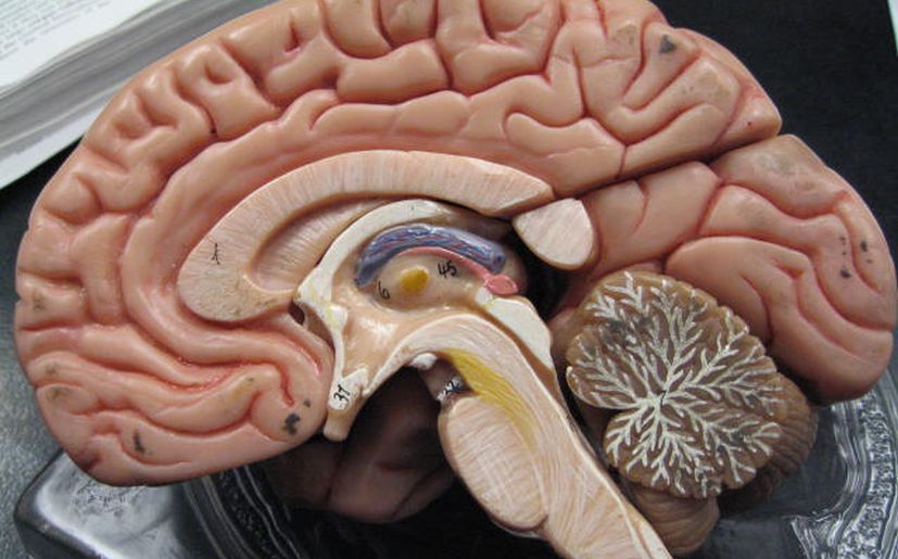  Conoce los 10 h&aacute;bitos diarios que pueden da&ntilde;ar tu cerebro