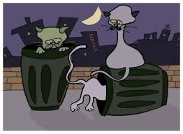 La trampa de la caja del gato 