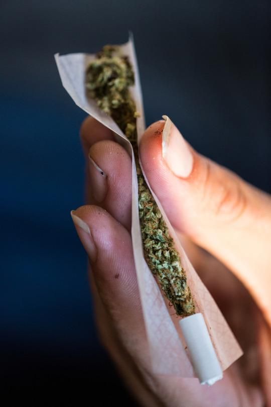 Teens and Marijuana: The Surprising Truth