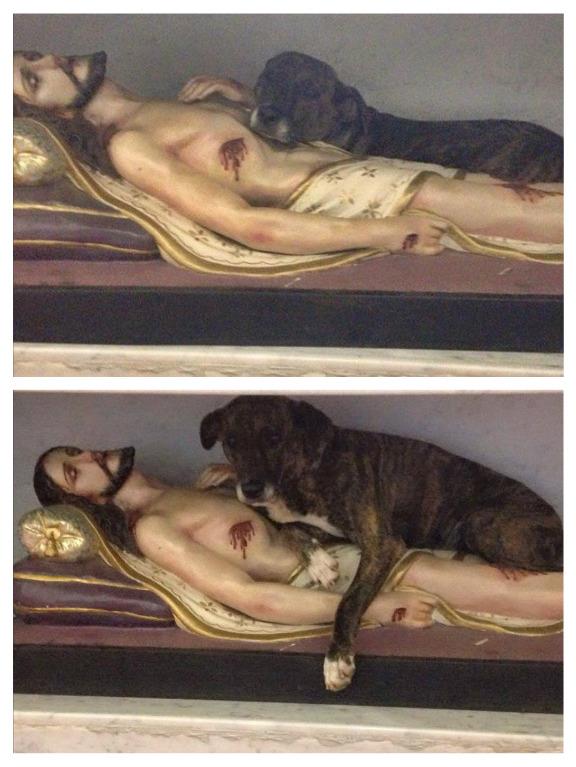 El perro que se acost&oacute; sobre el regazo de Cristo