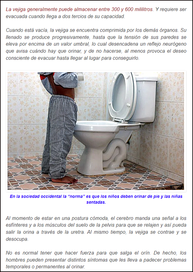  Cu&aacute;l es la mejor posici&oacute;n y m&aacute;s saludable para orinar de los hombres: &iquest;De pie o sentados?