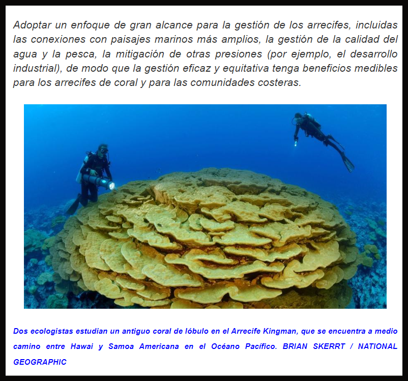  Desaparecer&aacute;n en 30 a&ntilde;os: El calentamiento est&aacute; matando los arrecifes de coral