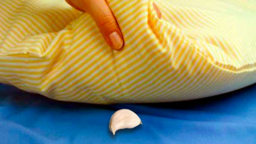 Estos son los beneficios de poner un diente de ajo bajo la almohada