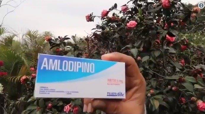 Amlodipino directo a los pino as&iacute; lo sugiere este medicamento
