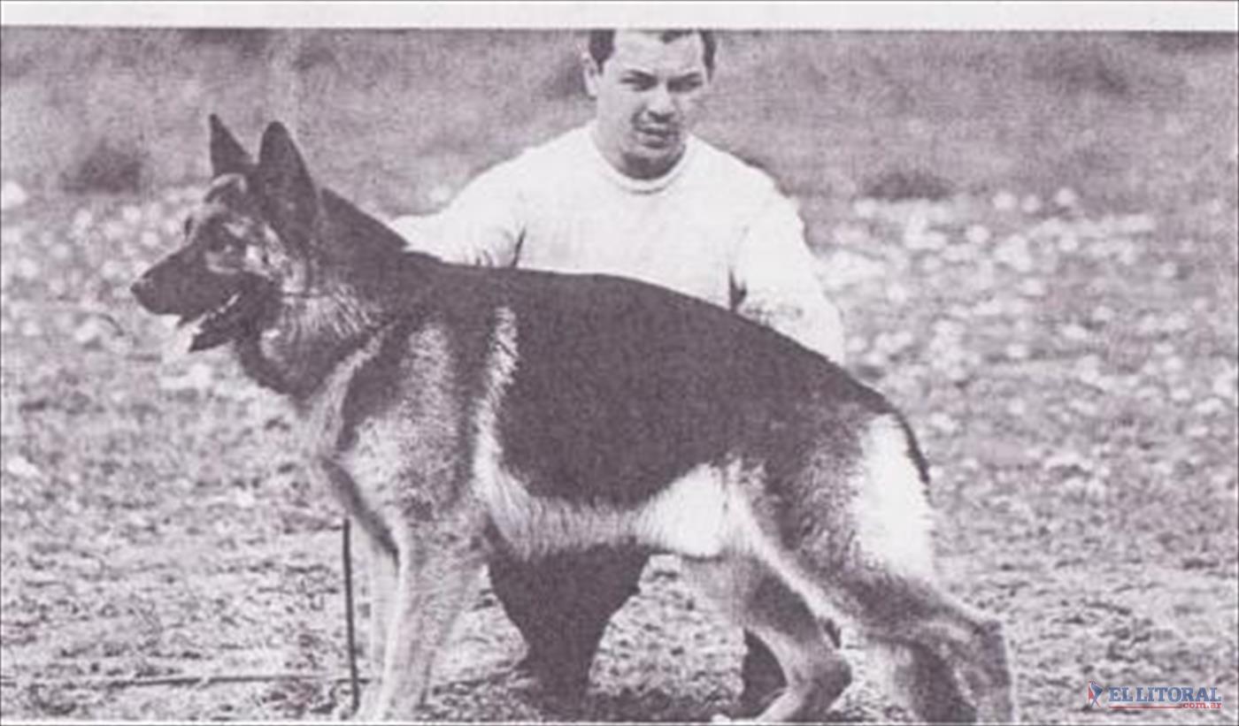 &iquest;Por qu&eacute; se celebra hoy el d&iacute;a nacional del perro en Argentina?