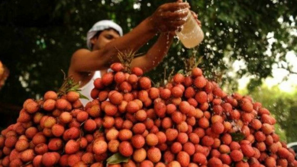  El lichi: una fruta peligrosa para los ni&ntilde;os