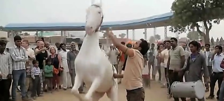 El caballo m&aacute;s bailar&iacute;n del mundo