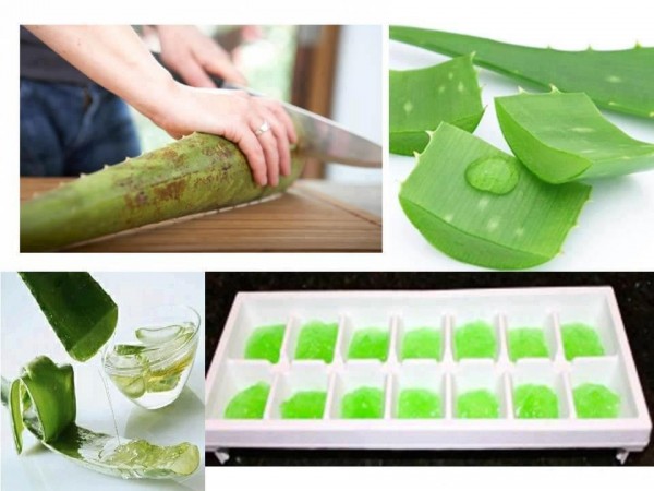 Los Beneficios de algo llamado Aloe Vera