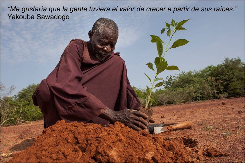 INCRE&Iacute;BLE, EL HOMBRE QUE DETUVO EL AVANCE DEL DESIERTO