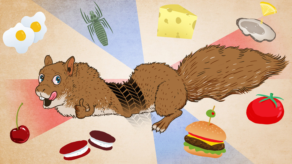 15 food festivals in the U.S. for the ultimate foodie