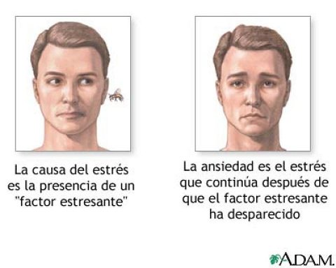 Tips para aliviar el estr&eacute;s