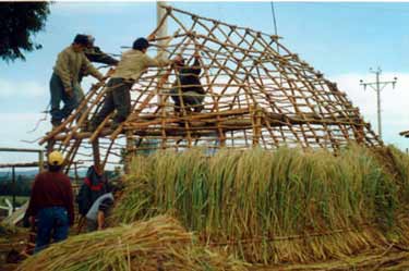 Alcaldes Mapuche no usar&aacute;n Edificios Fiscales
