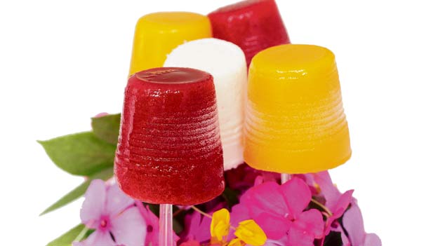 Los helados m&aacute;s sanos y ligeros