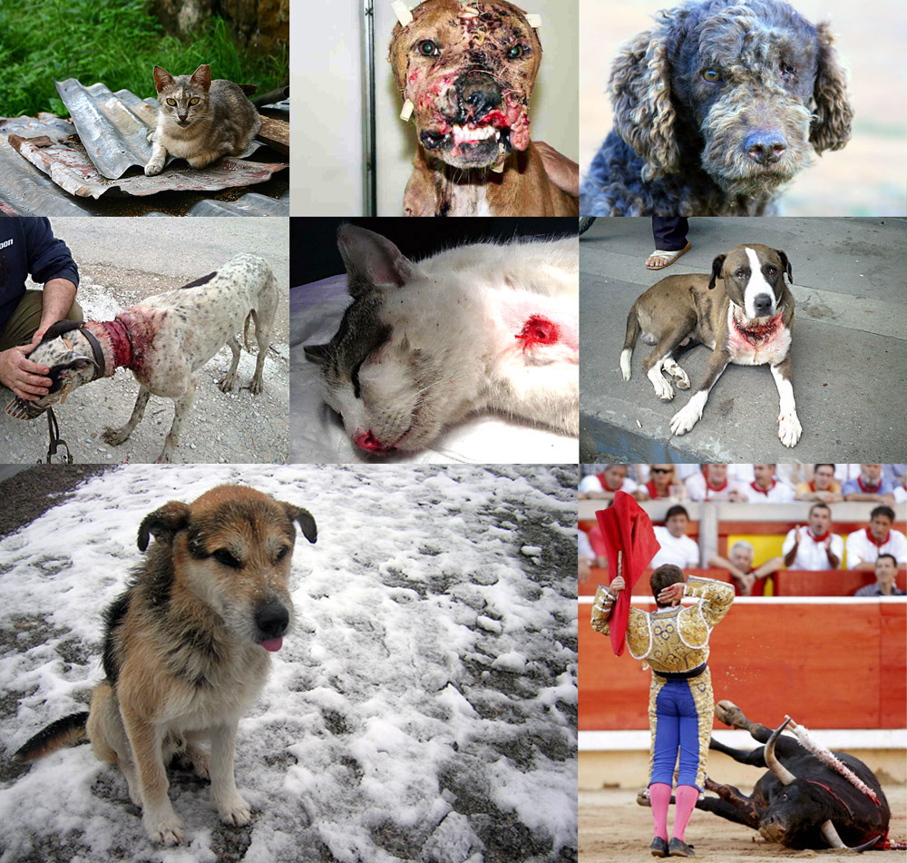  Maltrato a los animales, s&iacute;ntoma de enfermedad mental