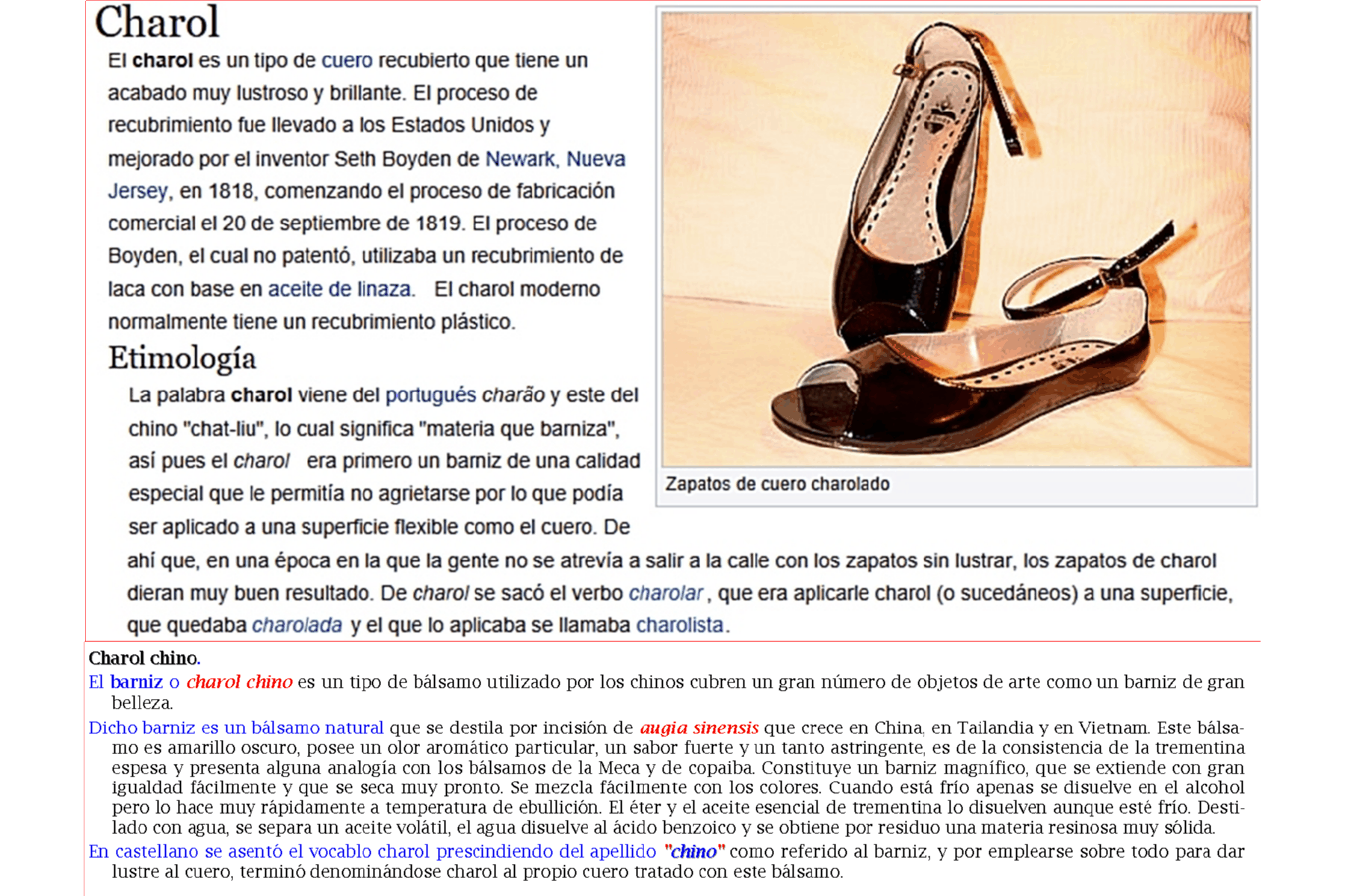 Mundo de charol